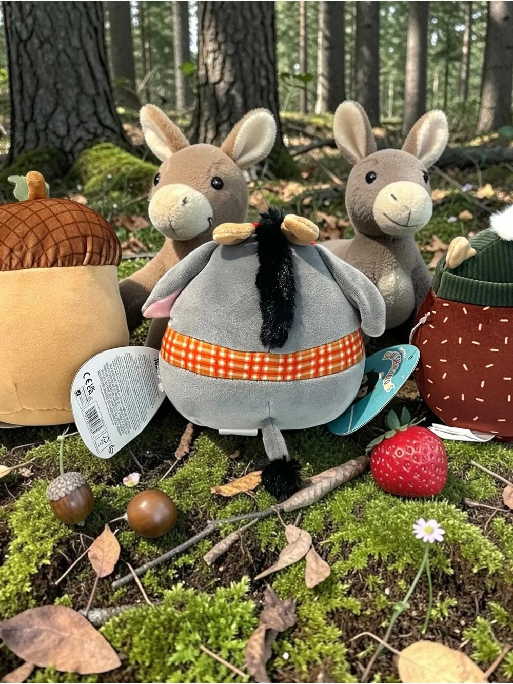 Squishmallows Woodland Lot 3 Mac Acorn Jason Donkey Hans Hedgehog NWT Plush 5”